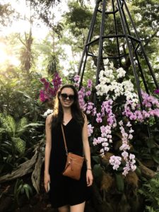 National Orchid Garden.